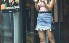 狗狗趴在我身上打扑克